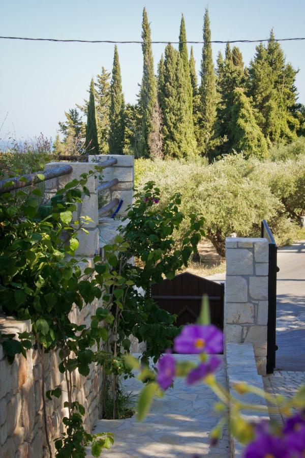 Villa Amorosa